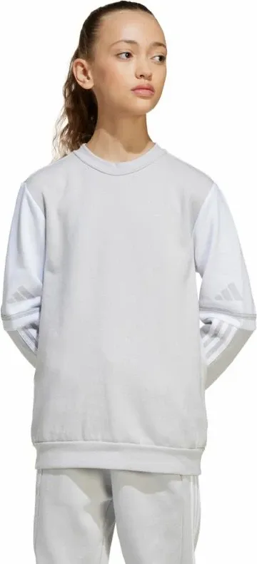 Pamja 4