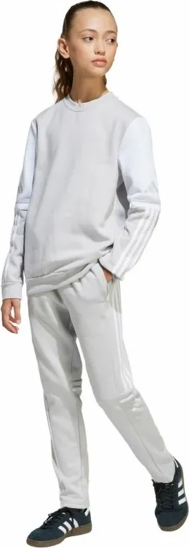 Pamja 8