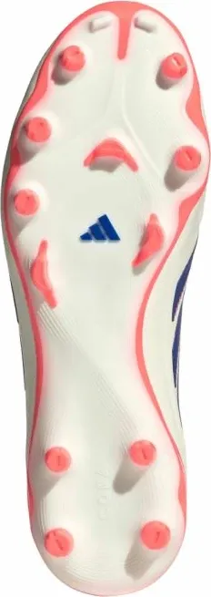 Pamja 6
