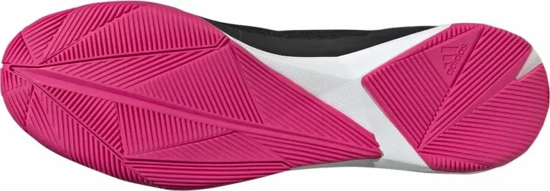 Pamja 6