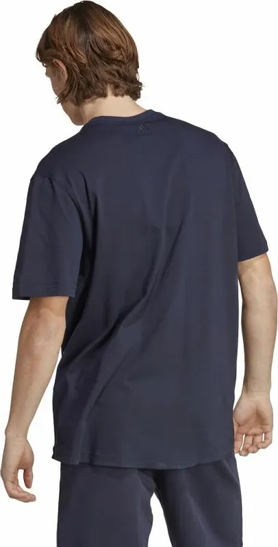 Pamja 3