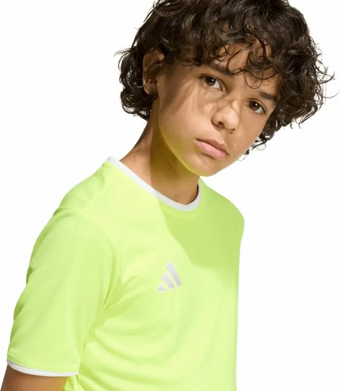 Pamja 4