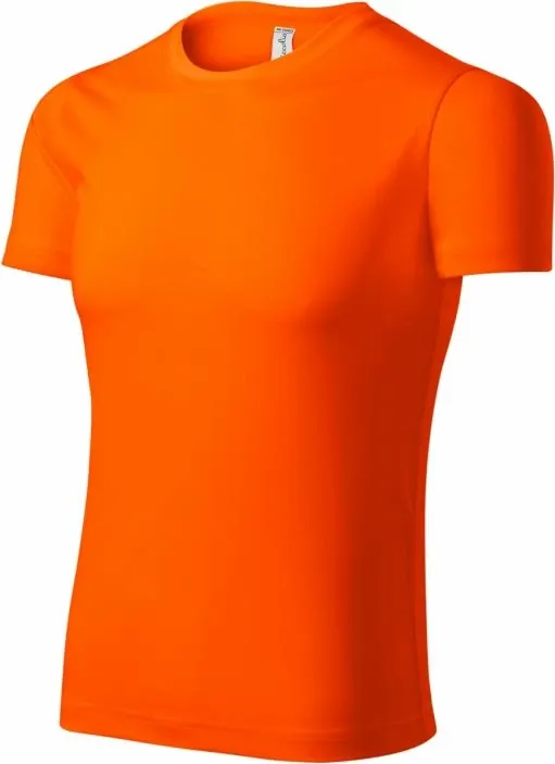 Pamja 3