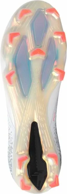Pamja 5