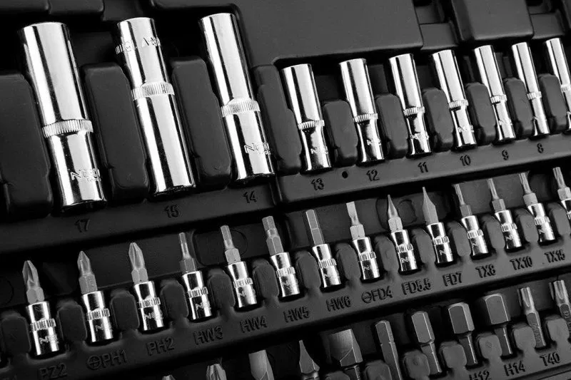 Pamja 11