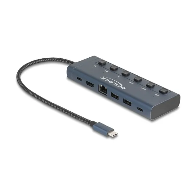 Docking Station DeLOCK / 4K / 1xHDMI / 2xUSB-A / 1xUSB-C / LAN / With Switch – Blu e Errët - 1