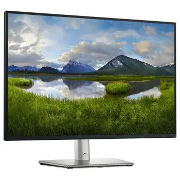 Monitor, 61cm/24" (1920x1200) Dell P2425E 16:10 FHD IPS 5ms 100Hz HDMI DP USB-C RJ45 Black/silver