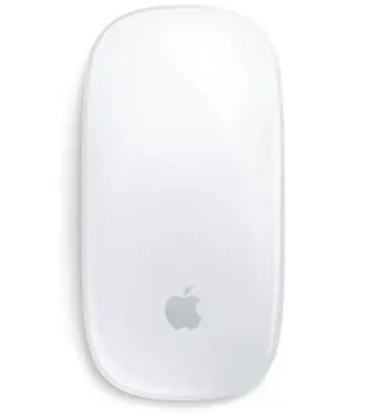 Maus, Apple Magic mouse Office Ambidextrous RF Wireless + Bluetooth