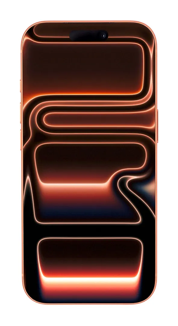 Pamja 6