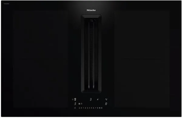 Pamja 2