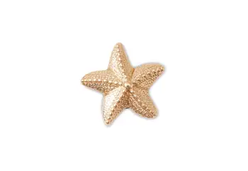 CrocsGold Star Fish