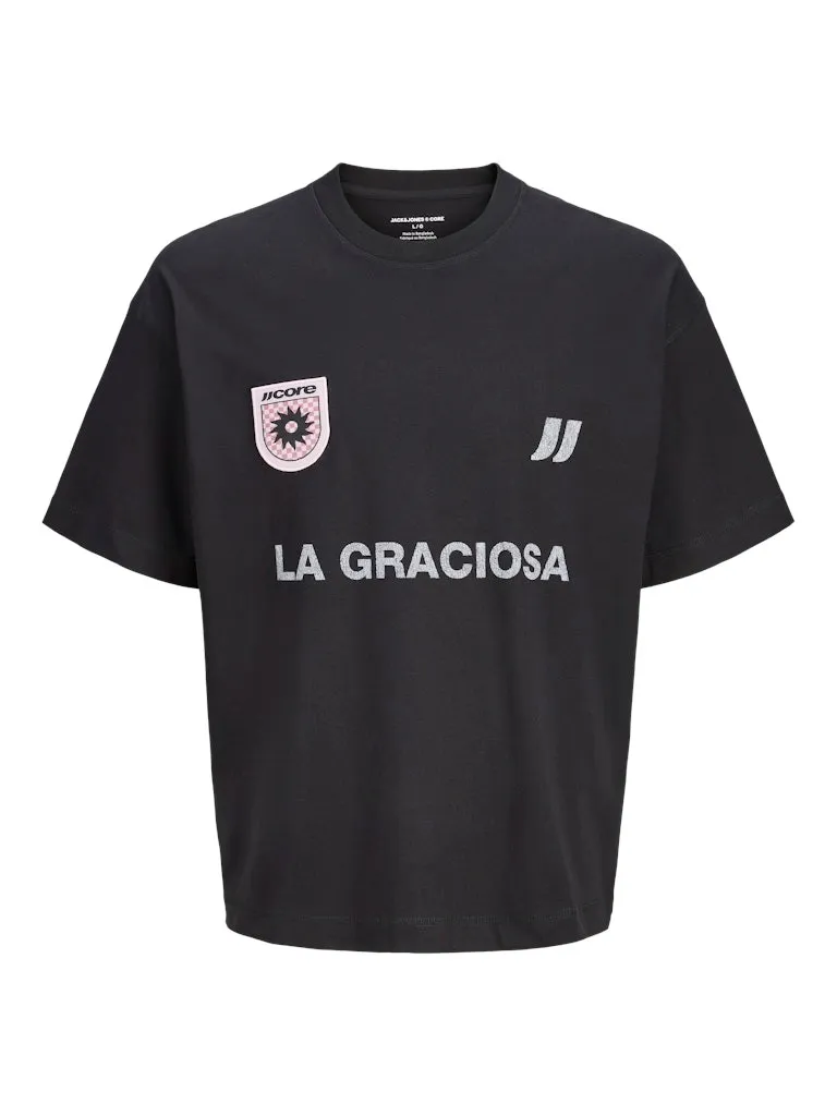 Pamja 12