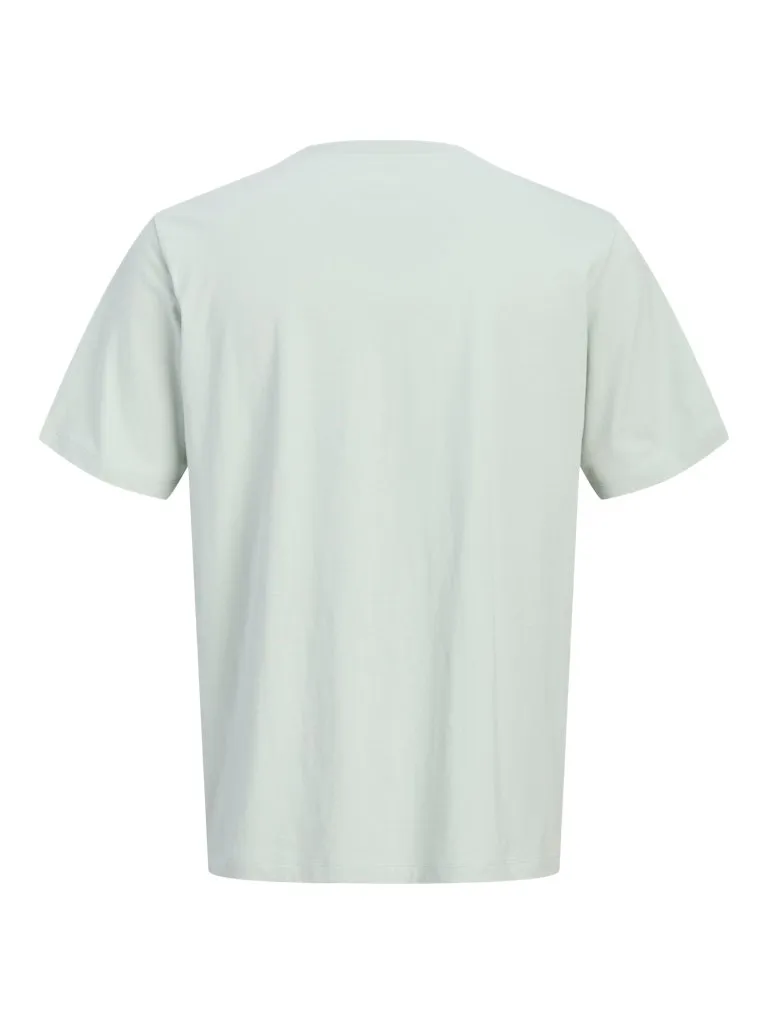 Pamja 10