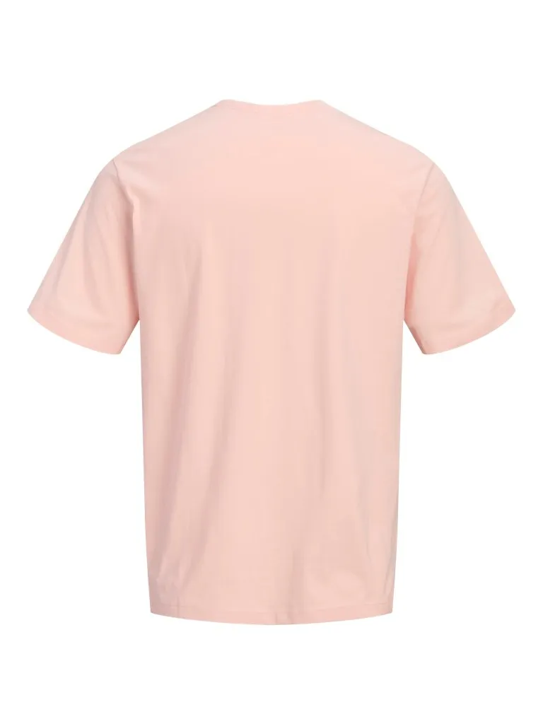 Pamja 10