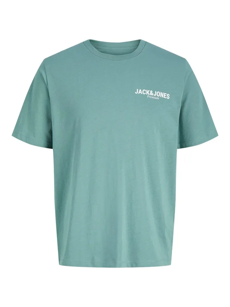 Pamja 2