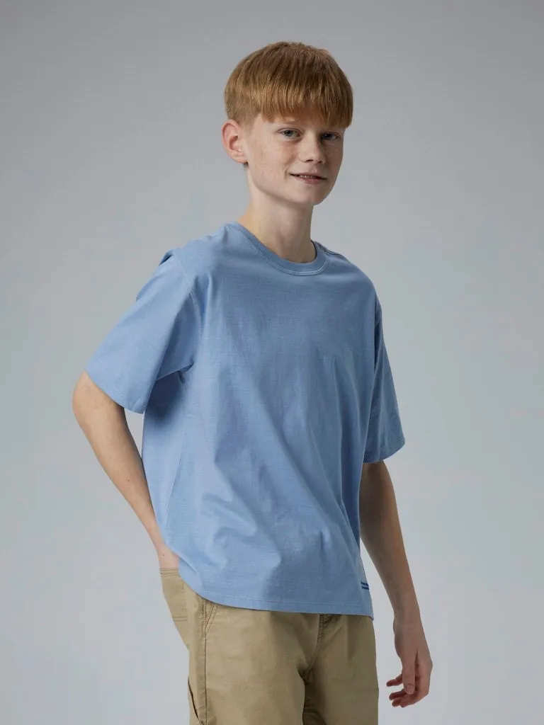 Pamja 12
