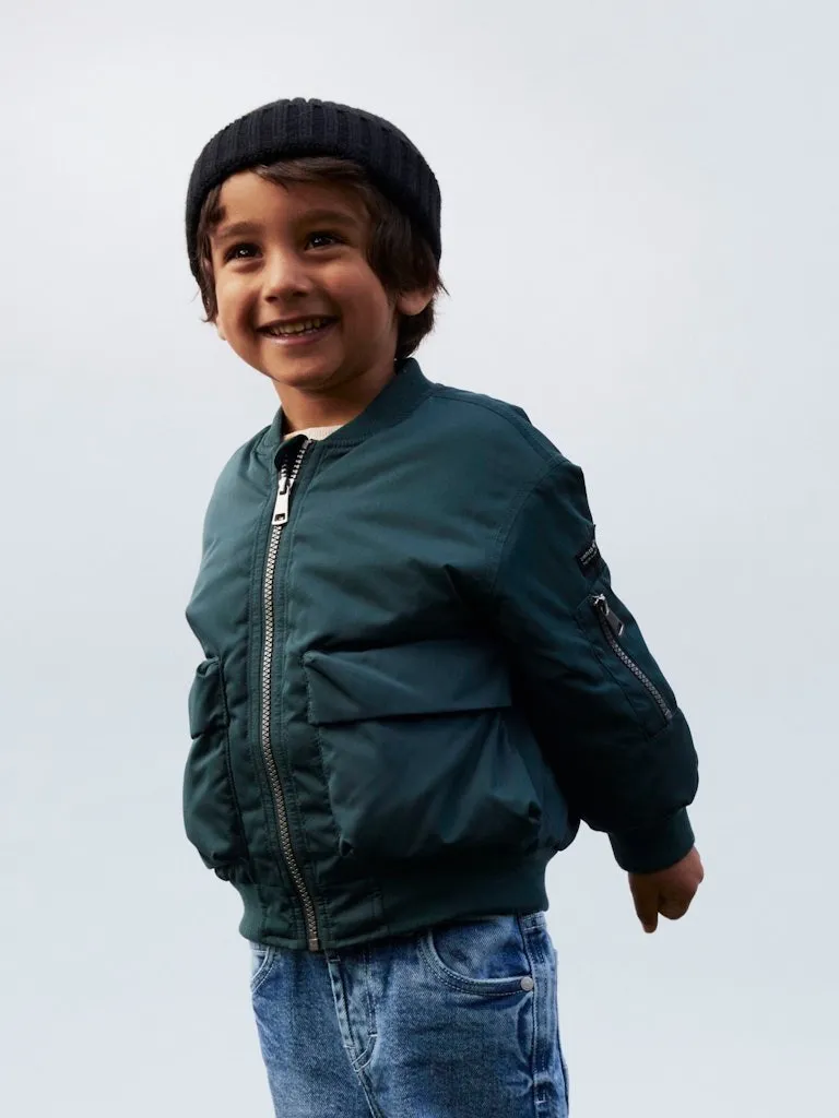 Pamja 6