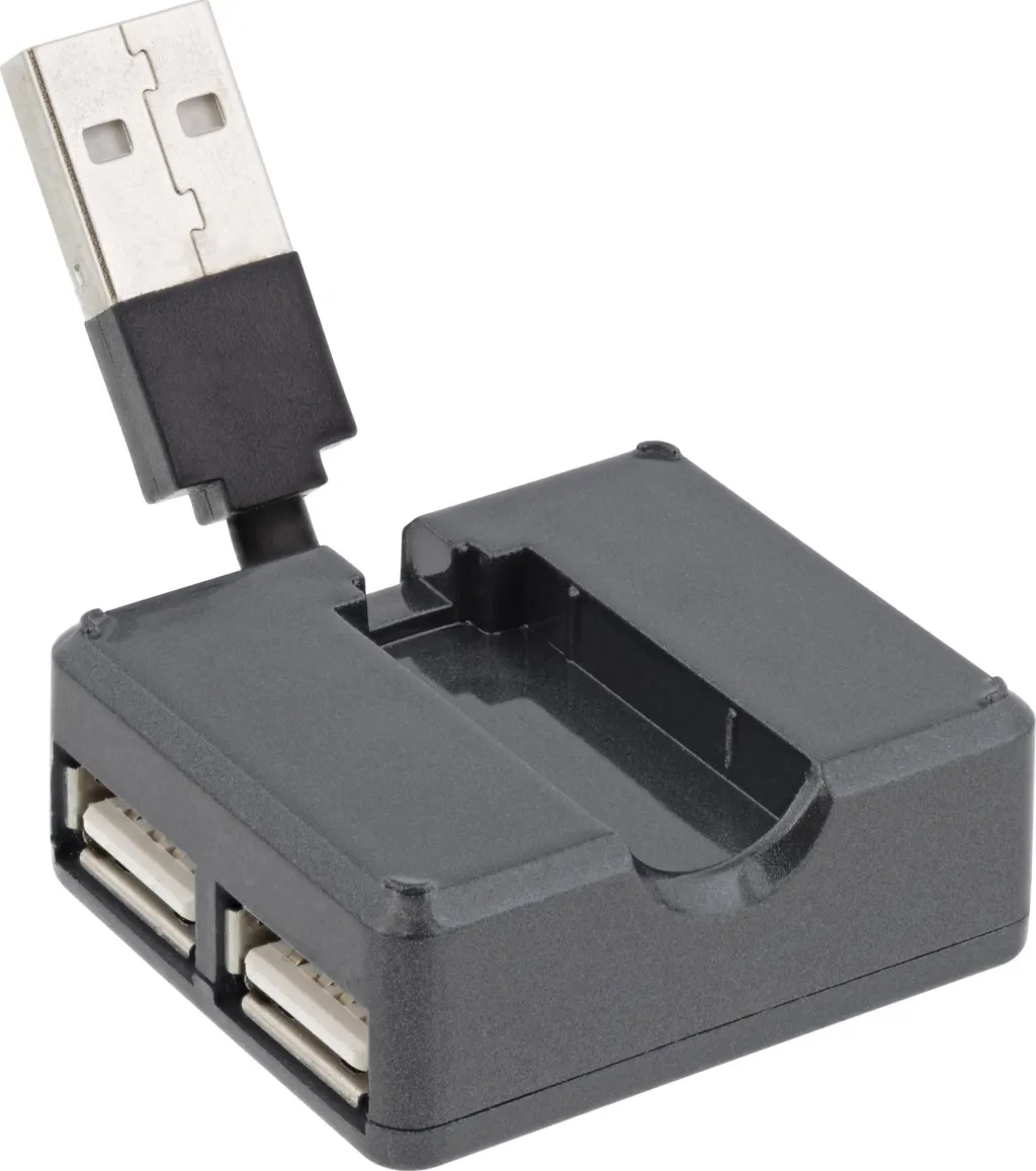 Pamja 2
