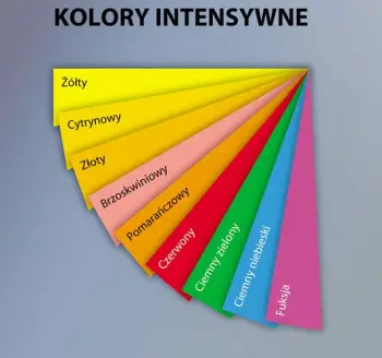 Shënues ngjitës Biurogo Kolory Intensywne, shumëngjyrëshe, set
