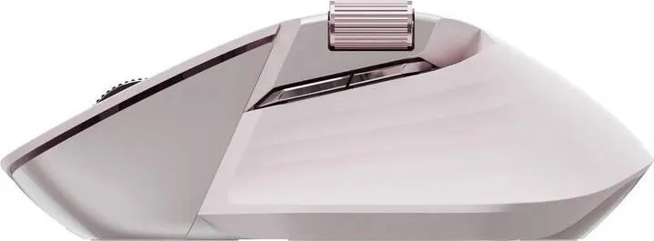 Pamja 2