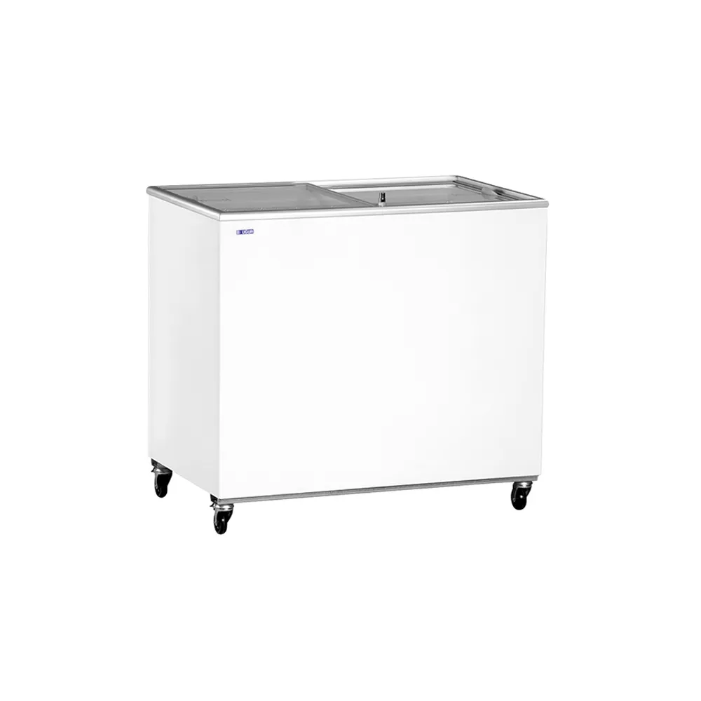 Friz Ecolux – UDD300SC - 1