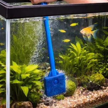 Furçë për pastrimin e akuariumit 40 cm