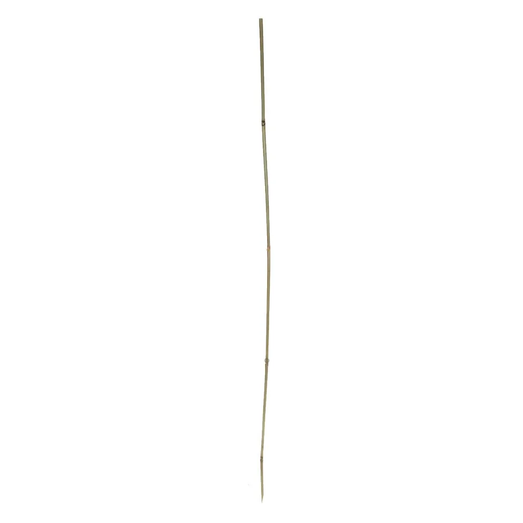 Shkop bamboo 120cm - 1