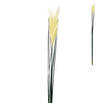 Degë Dekoruese Bar I Bardhë 75 Cm